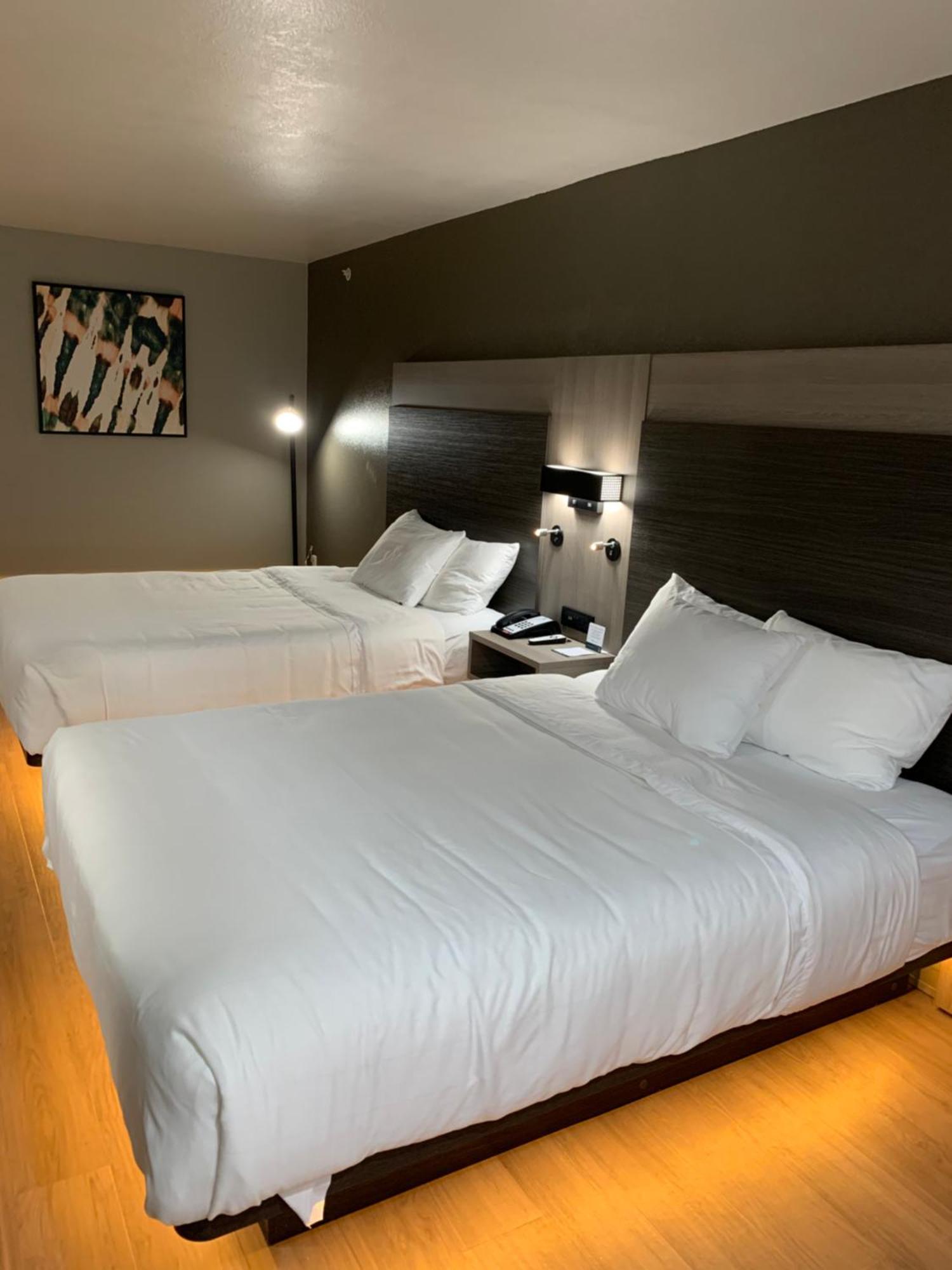 Quality Inn & Suites North Mesquite I-30 Room photo